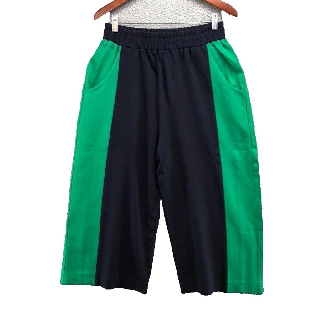 Meg Wide Leg Cropped Pants Womens Large Blue Green Stretch Comfort Modern Urban